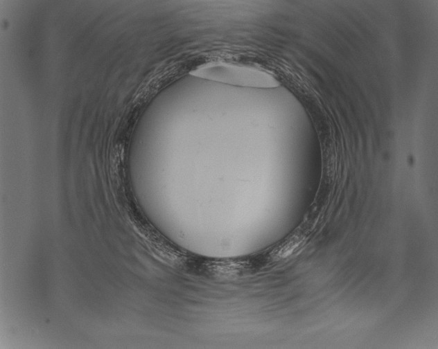 X0000070870229200607150129