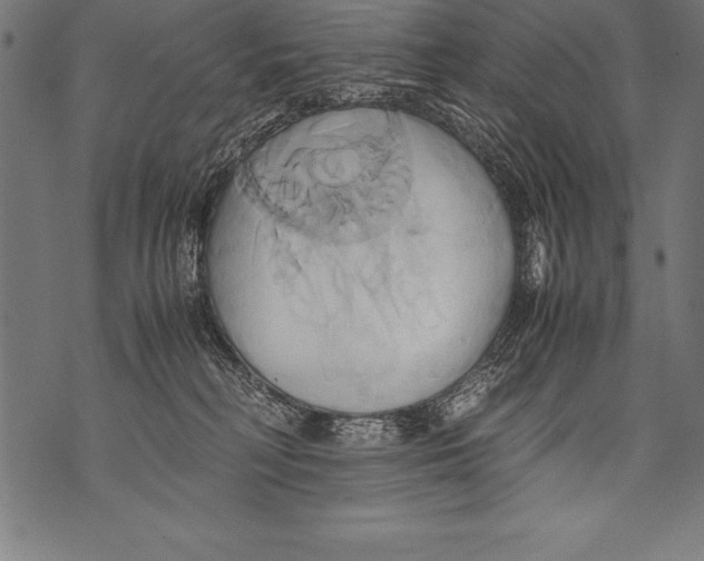 X0000070870230200607150129