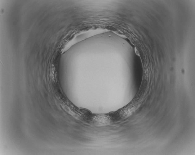 X0000070870231200607150129