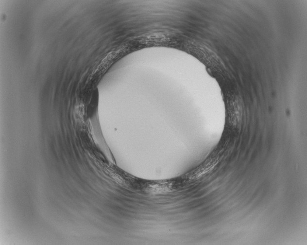 X0000070870232200607150129