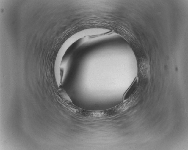 X0000070870233200607150129