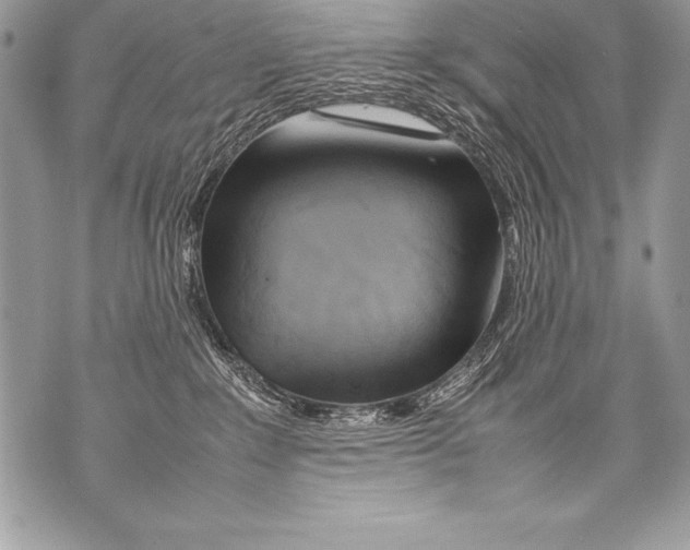 X0000070870235200607150129