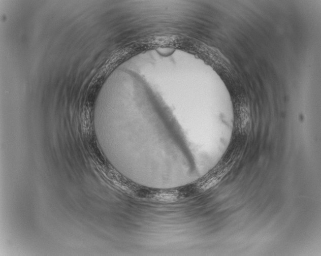 X0000070870236200607150129