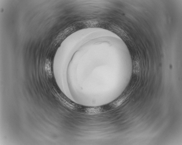 X0000070870238200607150129