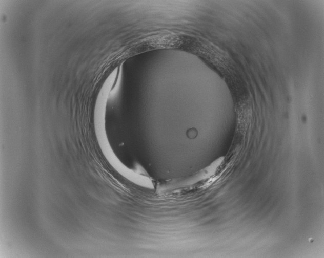 X0000070870239200607150129