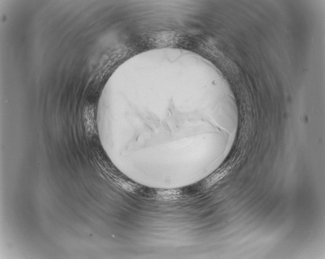 X0000070870240200607150129