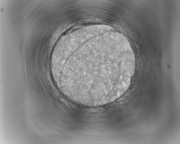 X0000070870241200607150128