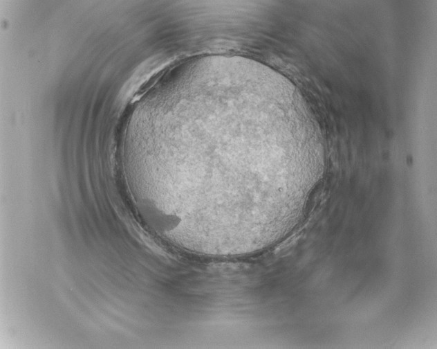 X0000070870242200607150128