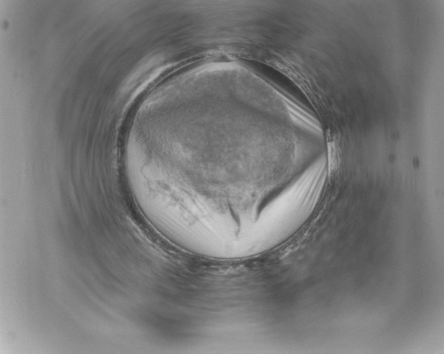 X0000070870243200607150128