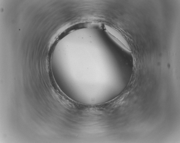 X0000070870244200607150128