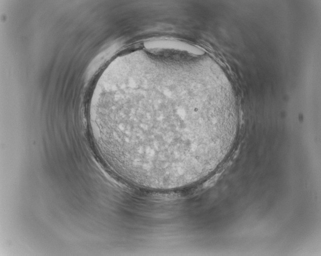 X0000070870245200607150128