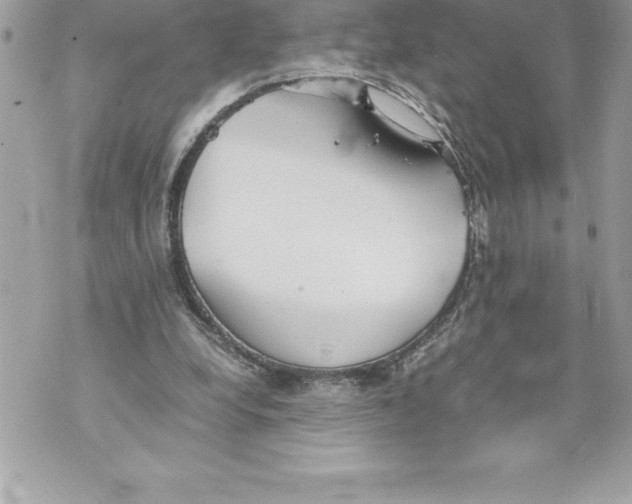 X0000070870248200607150128