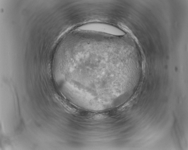 X0000070870249200607150128