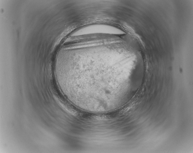 X0000070870250200607150128