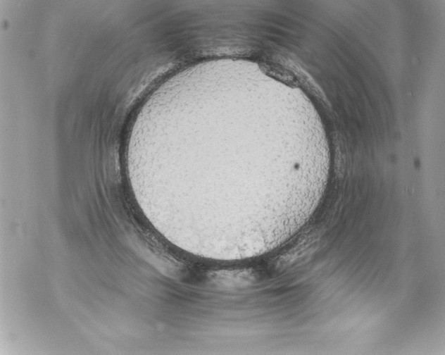 X0000070870251200607150128