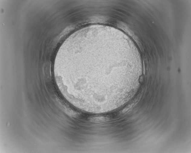 X0000070870253200607150128