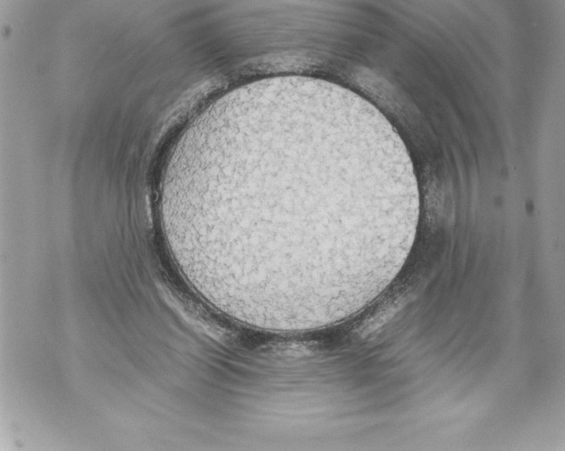 X0000070870254200607150128