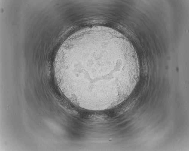 X0000070870255200607150128