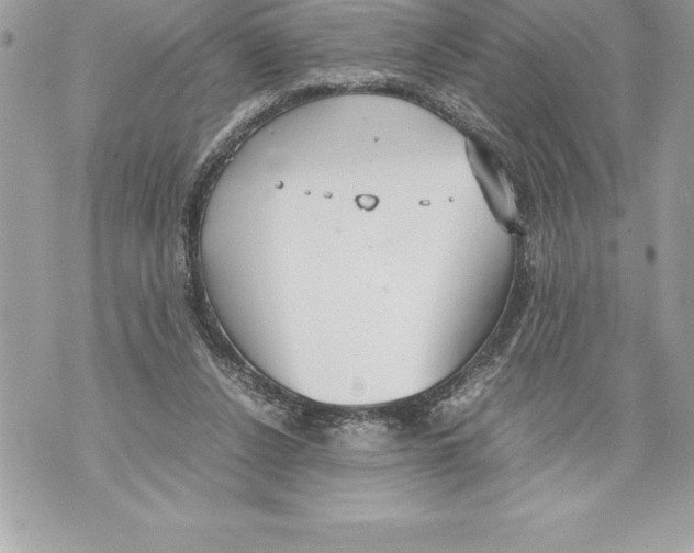 X0000070870256200607150128