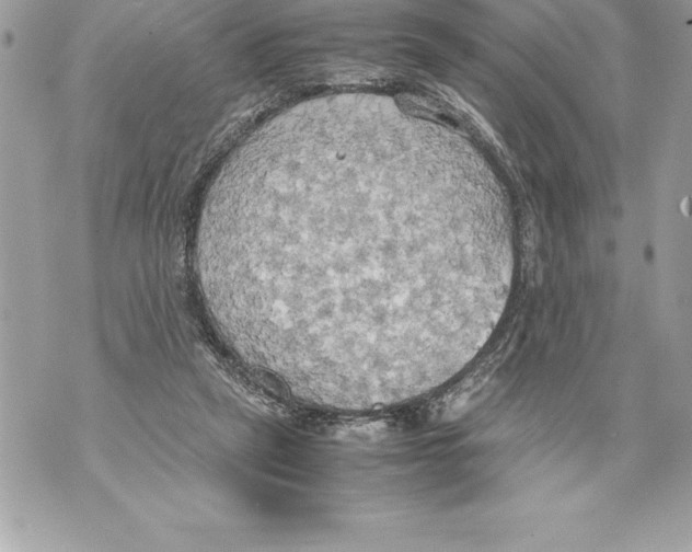 X0000070870257200607150128