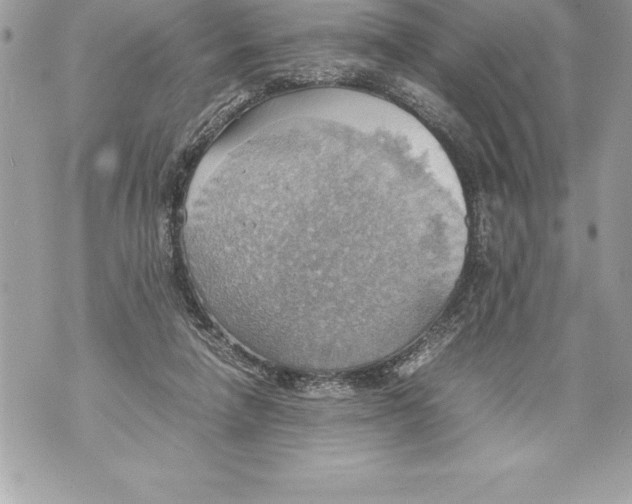 X0000070870258200607150128