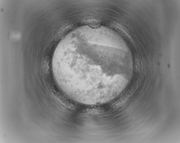 X0000070870259200607150128