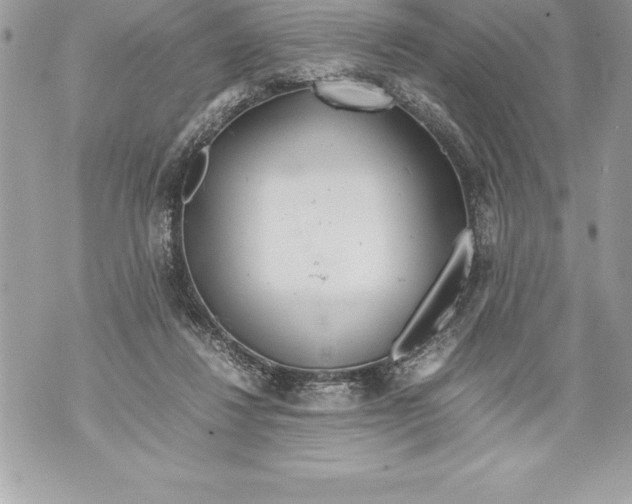 X0000070870260200607150128