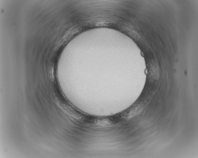 X0000070870262200607150128