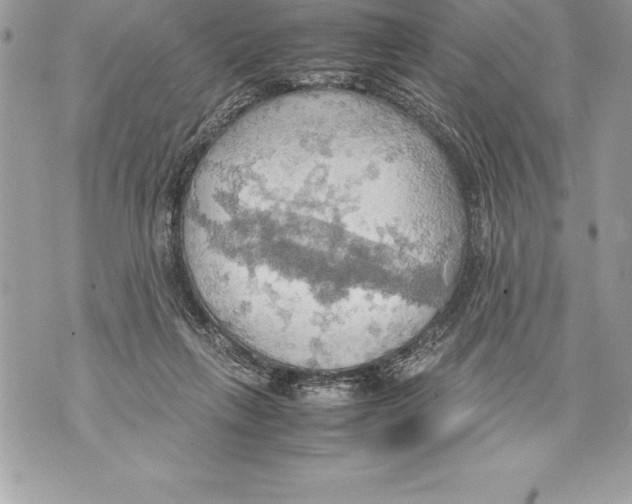 X0000070870263200607150128