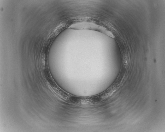 X0000070870264200607150129