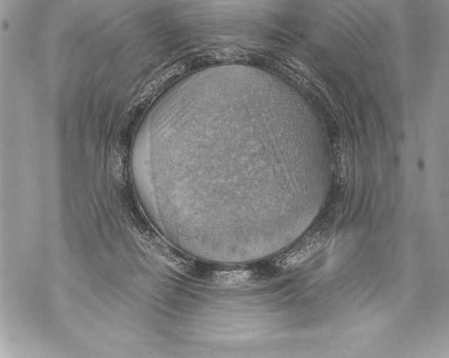 X0000070870266200607150129