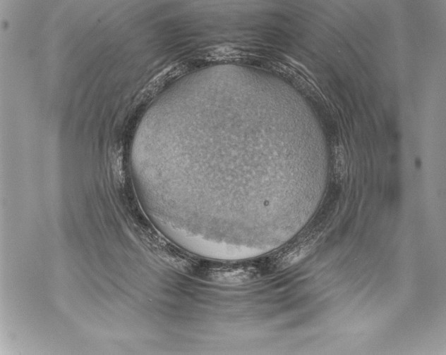 X0000070870267200607150129