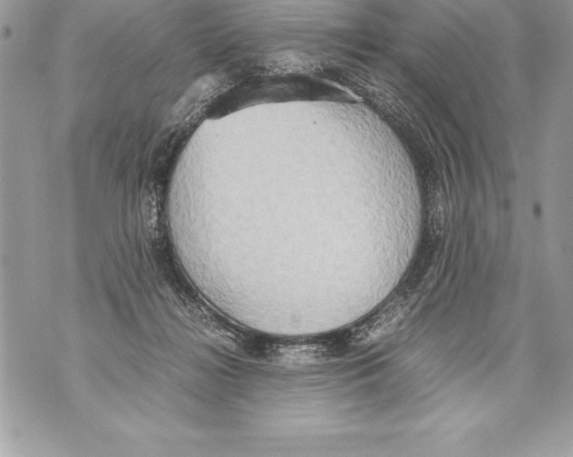 X0000070870268200607150129