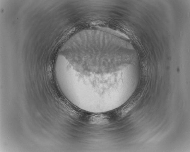 X0000070870269200607150129