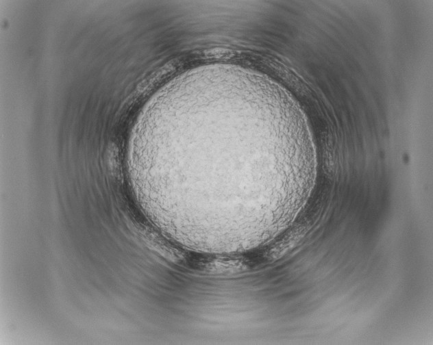 X0000070870270200607150129