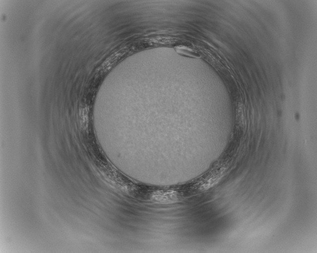 X0000070870271200607150129