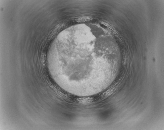 X0000070870273200607150129