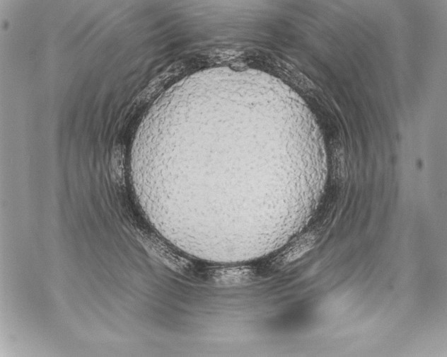 X0000070870274200607150129