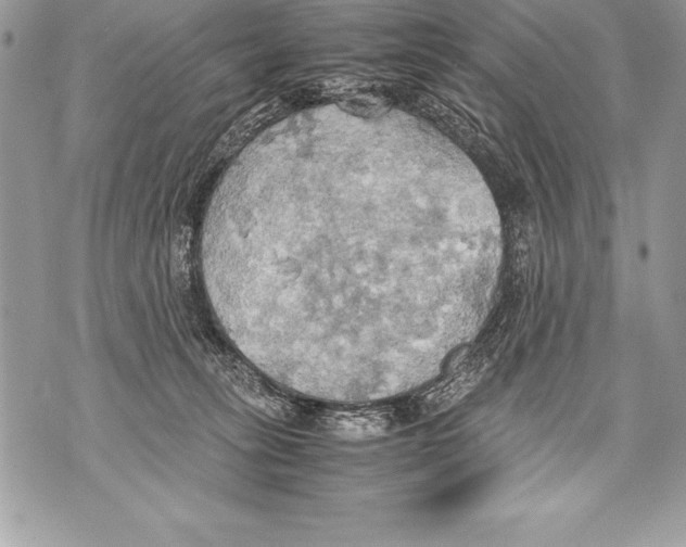 X0000070870275200607150129