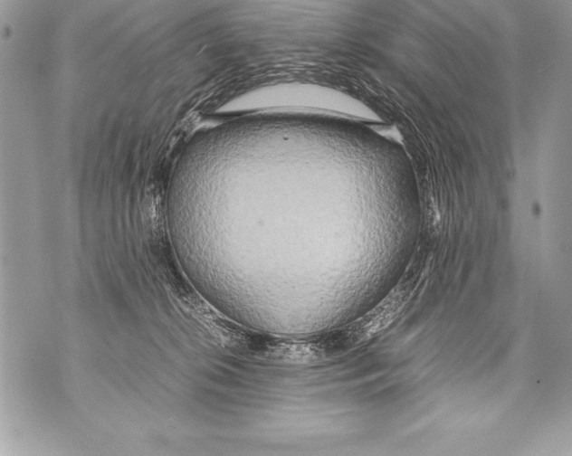 X0000070870276200607150129