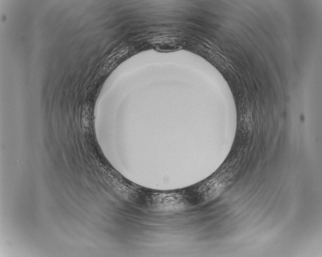 X0000070870277200607150129