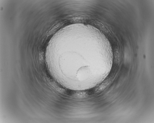 X0000070870278200607150129