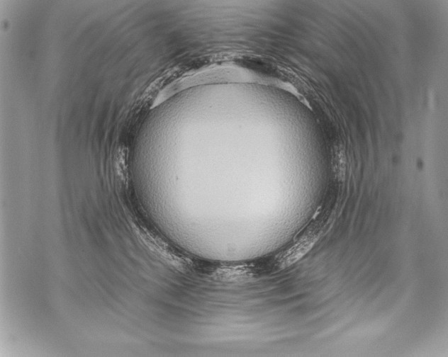 X0000070870280200607150129