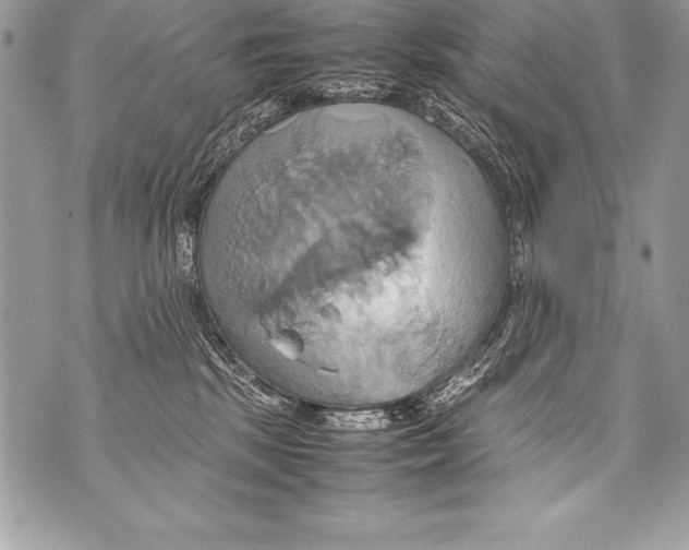 X0000070870281200607150129