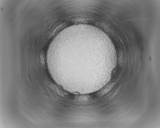 X0000070870282200607150129