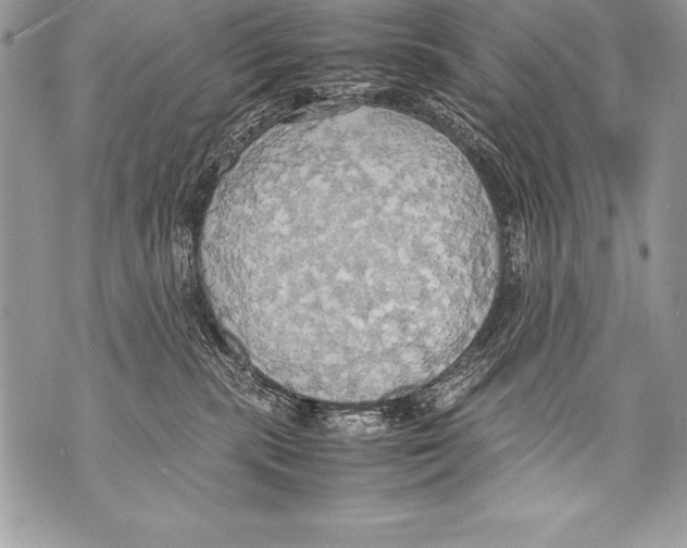 X0000070870283200607150129