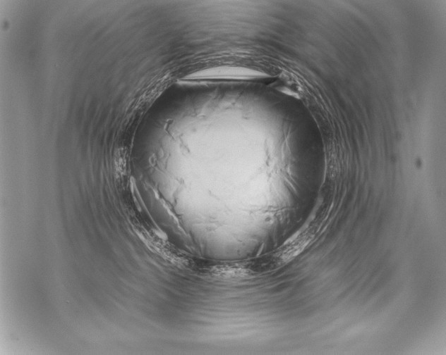 X0000070870284200607150129