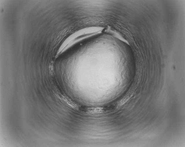 X0000070870288200607150129