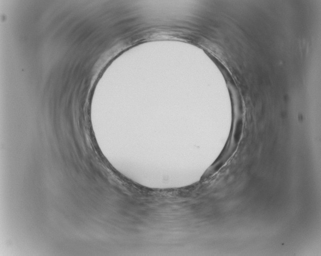 X0000070870289200607150128