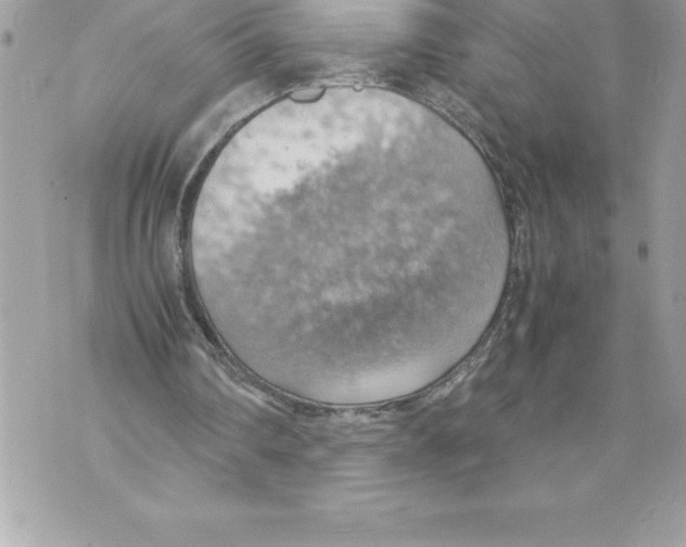 X0000070870290200607150128